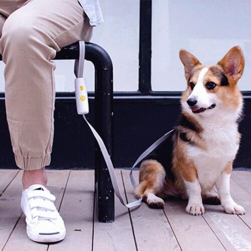 Hands Free Pet Traction Rope Dog Leash Elastic Walking Training Hiking Retractable Medium Small Dog Traction Belt For Pet Chain