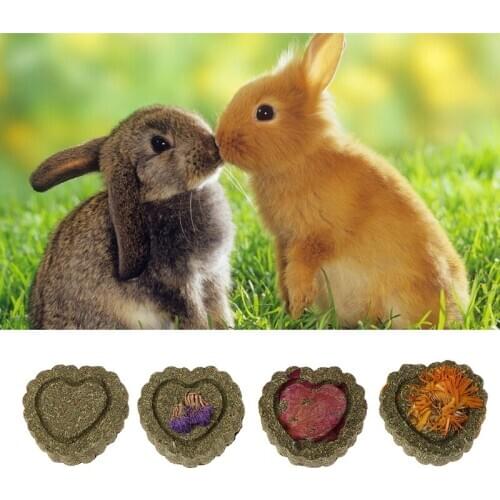 2pcs Small Pets Grinding Teeth Cake Cookie Animals Rabbit Chinchilla Guniea Pig
