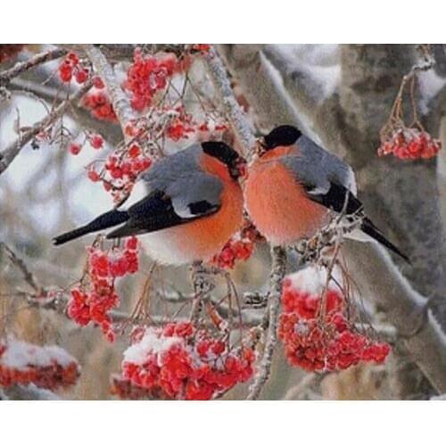 Birds Red Fruit DIY 5d Diamond Painting Pictures Beads Beading Embroidery Square/round Kits Picture By Numbers