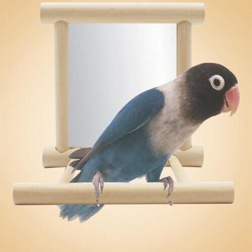 Funny Wooden Bird Toy Mirror Stand Platform Toys for Parrots Cockatiel Vogel Garden Decoration Vintage Style