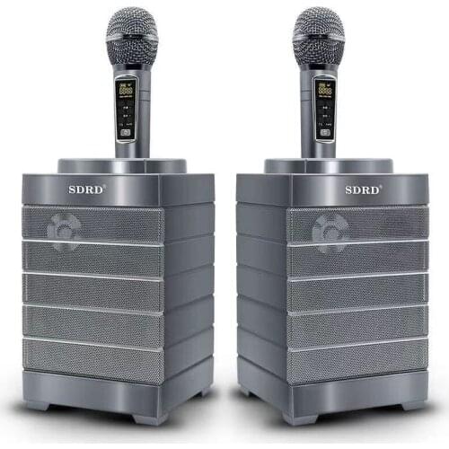 Wireless Bluetooth Speaker Box 30W TV Computer Soundbar Dual Microphone Home Theater KTV Stereo Subwoofer Surround Music Center