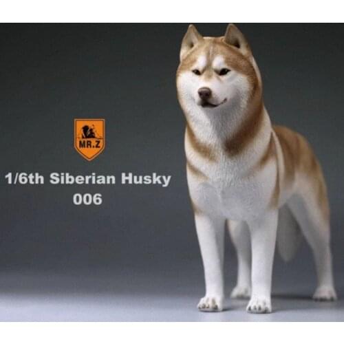 1/6 scale Mr.Z Husky Siberian Husky simulation animal model model scene decoration pet ornaments
