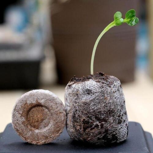 1/5/10pcs Pack Nutrient Soil Block 30mm Jiffy Peat Vegetable Pellets Seed Starting Plugs Seeds Seedling Soil Block Nutrient soil