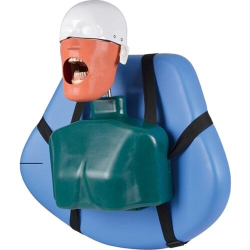 Dental simulator manikin phantom head Dental phantom head model with new style bench mount for dentist education