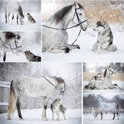 5D Animal DIY Horse Diamond Painting Dog Cross Stitch Kit Mosaic Full Drill Diamond Embroidery Home Craft Art Decoration Gift
