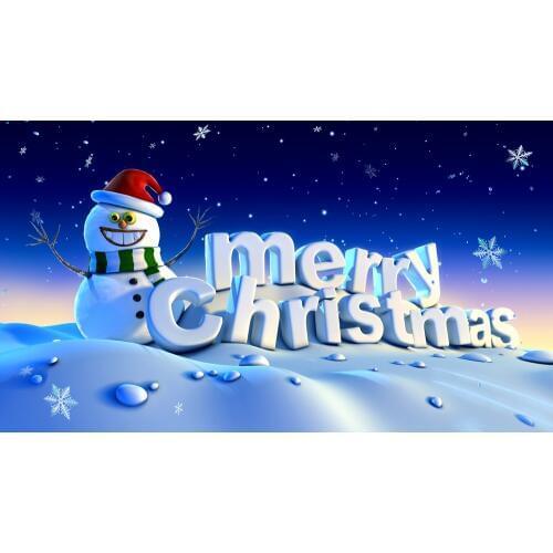 Free shipping aerlxemrbrae Custom flag Christmas Pirate Flag 150x90cm banner with grommets MERRY CHRISTMAS blue Flag