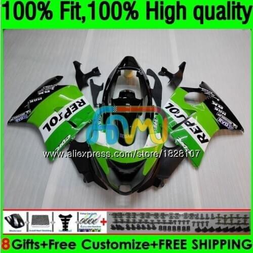 CBR1100 XX For HONDA Blackbird CBR Repsol green 1100XX 02 03 05 06 07 132BS.78 CBR1100XX 2002 2003 2004 2005 2006 2007 Fairings