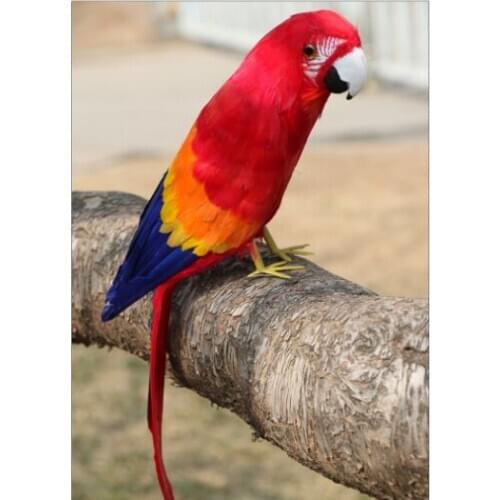 New simulation parrot model foam&furs red parrot bird toy gift about 42cm 3019