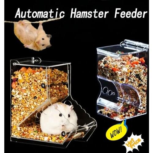 Clear Automatic Hamster Feeder For Hamster Guinea Pigs Rabbit Food Dispenser Plastic Pet Food Bowl Container Hamster Accessories