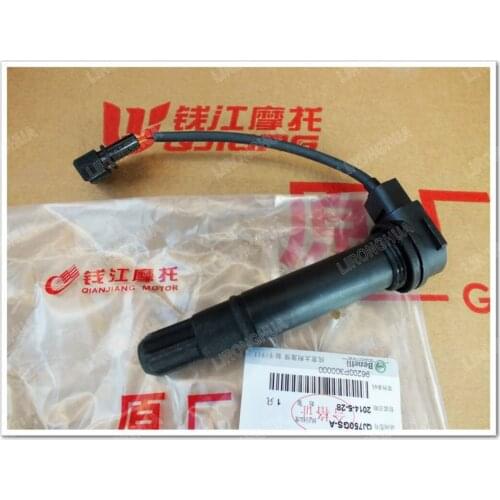 Motorcycle Accessories Cruise Version / European Version / Huanglong BJ600GS/-A BN600 High Pressure Bag Assembly