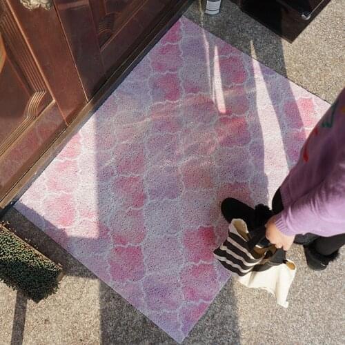 Dream Style Entrance Door Mat Carpet Kitchen Mat Living Room Mat Bath Mat Home Doormat Can Be Cut PVC Non-slip Custom Mat Carpet