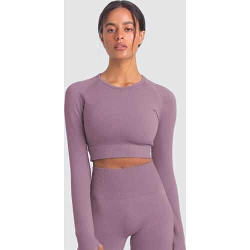 2PCS Yoga Set Seamless Leggings Sleeve Crop Top Women Gym Leggings High Waist Fitness Sports Suit