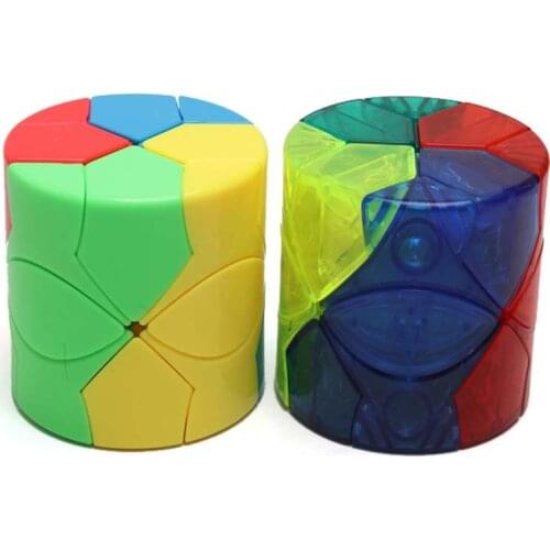 WintopCubes Moyu Cubing Classroom Redi Cube Barrel Puzzle Cylinder Type Stickerless Cube Magico Toys For Children