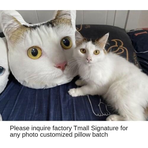 Custom Pillow Diy Cat Pet Photo Homemade Cat Head Custom Pillow Animal Cat Shaped 3d Dunton Cushion