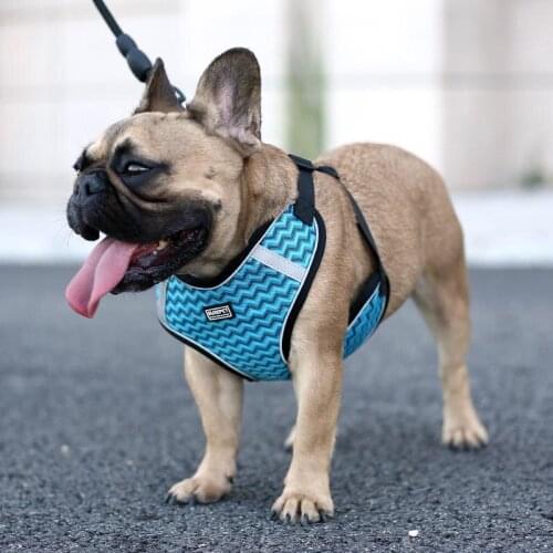 No pull Sport Reflective Dog Harness for Small Large Dogs Safety Adjustable Training Pet Pitbull Dog Chest Vest Cat Harnesses
