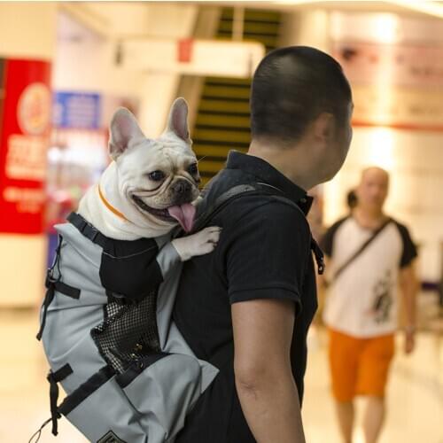 Travel Bags Pets Products Breathable Pet Dog Carrier Bag for Large Dogs Golden Retriever Bulldog Backpack Adjustable Big Dog