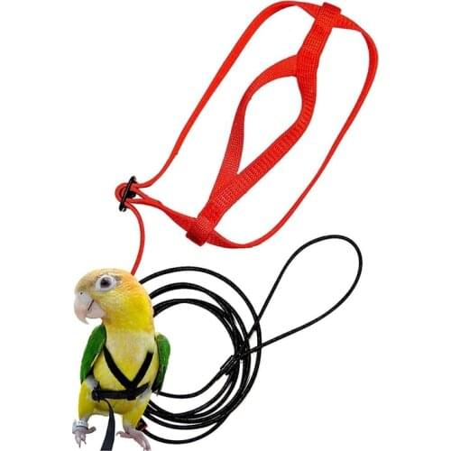 Bird Harness Bird Leash for Conures Adjustable Parrot Leash Bird Nylon Training Rope Anti Bite Birds Accessories For Parrot