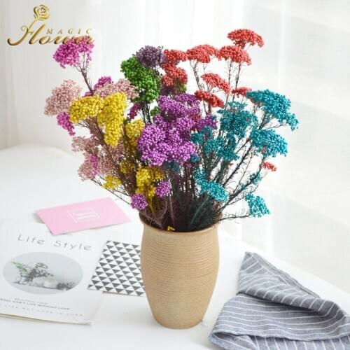 DreamFlor Rattan