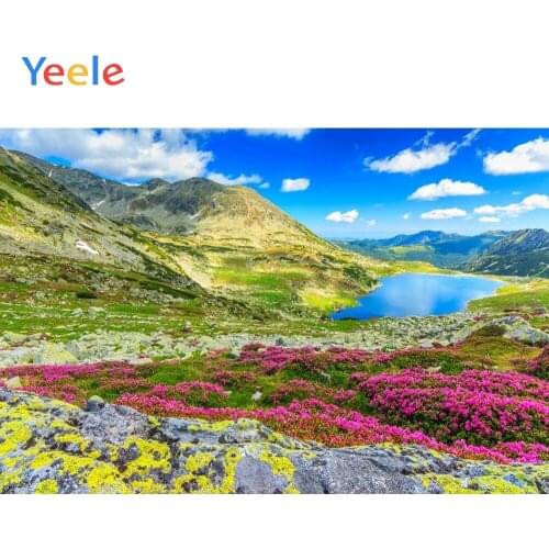 Spring Mountain Flower Lake Sky Cloud Nature Scenery Baby Backdrop Photography Background For Photo Studio Photophone Photozone