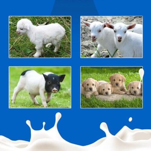 Lamb Feeder Milk Bottle Sheep Feeding Bucket Calf Goat Animal Feeding Pot for Farm Lambs Piglets Dog Poultry Baby Feed