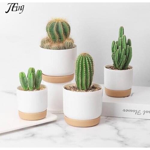 Succulent Plant Pot Double-layer Succulent Green Dill Small Green PlantFlowerpot