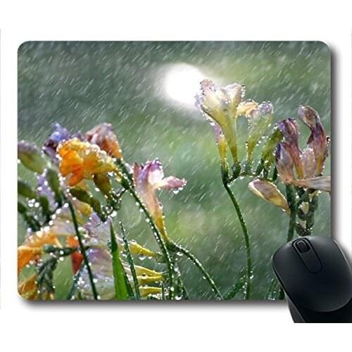 Clear water fishes Custom Oblong Mouse Pad Rectangle Gaming Rubber Mousepad Sold by 300mm*250mm*3mm