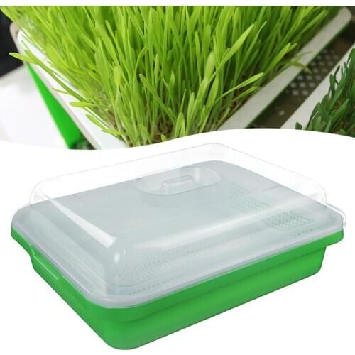 Seed Sprouter Tray Soil-Free double-layer Big Capacity Healthy Wheatgrass Grower with Cover Seedling Tray Sprout Plate Hydroponi