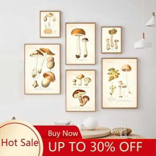 Atlas Of Edible and Poisonous Mushrooms Canvas Painting Print Vintage Botanical Posters Wall Art Picture Living Home Decorative