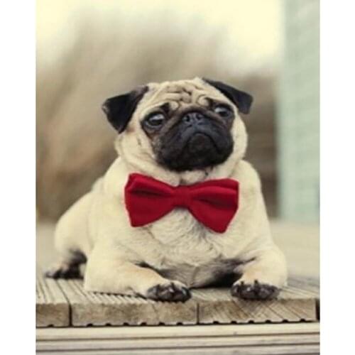 Animal Dog DIY Cross Stitch 11CT Embroidery Needlework Craft Set Printed Canvas Cotton Thread Home Decoration For Living Room