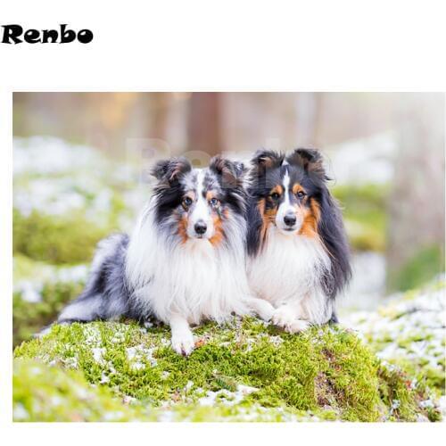Full square drill 5d diy diamond Painting Cross Stitch Kits animals Diamond Embroidery"Sheepdog sheltie dog"diamond mosaic decor
