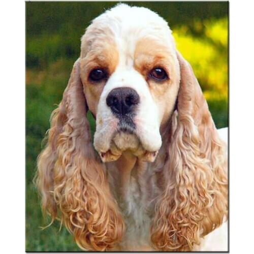 America cocker spaniel diamond embroidery rhinestones art mosaic 5d diy diamond painting puppy 3d cross-stitch dog pet icon New