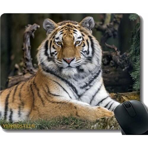 Personalized Mouse Pad,Tiger Predator Big Cat 173260 Mouse Pad Mat