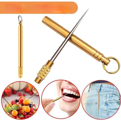 Titanium Outdoor Edc Portable Multifunctional Toothpick Camping Tool Bottle Fruit Fork Toothpick Tube Stronger Than Dental Floss