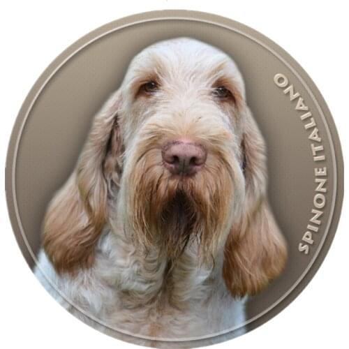 S40434# Various Sizes PVC Decal Spinone Italiano Dog V1 Car Sticker For Bumper Rear Window Laptop Refrigerator Toilet