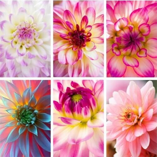 MOONCRESIN 5D Diamond Painting Full Square Flowers Embroidery Cross Stitch Home Decoration Diamond Art