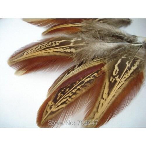 New!500PCS/LOT 5-8cm Natural Ringneck Pheasant Plumage Feathers,craft Ringneck feathers,feathers for earrings