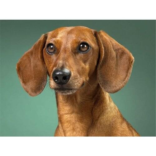 Animal Dachshund DIY Embroidery 11CT Cross Stitch Kits Needlework Craft Set Printed Canvas Cotton Thread Home Sell