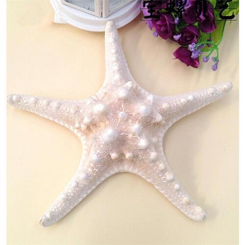 HappyKiss 5pcs / lots Natural crafts white bread sea shell starfish, fashion home decorative handicrafts free shipping sea star