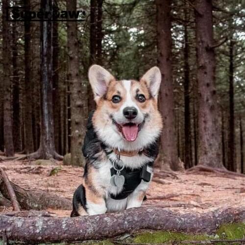 New Style Pet Dog Backpack Harness Bag Adjustable Bags For Small Medium Dogs Schnauzer French Bulldog Corgi Pug ZLB16