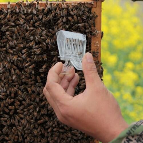 2pcs Beekeeping Tools Queen Bee cages plastic queen rearing equipment Beekeeper accessories