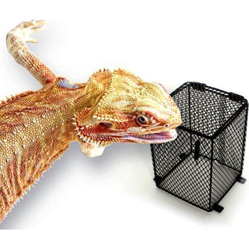 Reptile Accessories Heating Lamp Lampshade Anti-Scald Cover Heating Light Bulb Guard For Snake Lizard Turtle