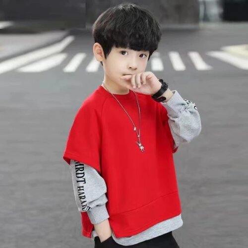 Autumn New Boys Clothes Faux Two Piece Sweatshirts Pullovers Long Sleeve Tops Children Clothing Cotton kids Girls t-shirt