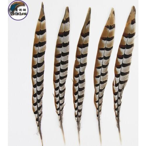 40-80 Inch(100-200 cm)Chinese Top Manufacturer Best Selling Cheap Large Natural Reeves Pheasant Tail Feathers