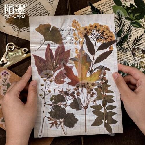 10pcs/pack Plant Specimen Book Series Plants Flower Sticker Decoration Stickers Diary Scrapbooking Label Sticker Stationery
