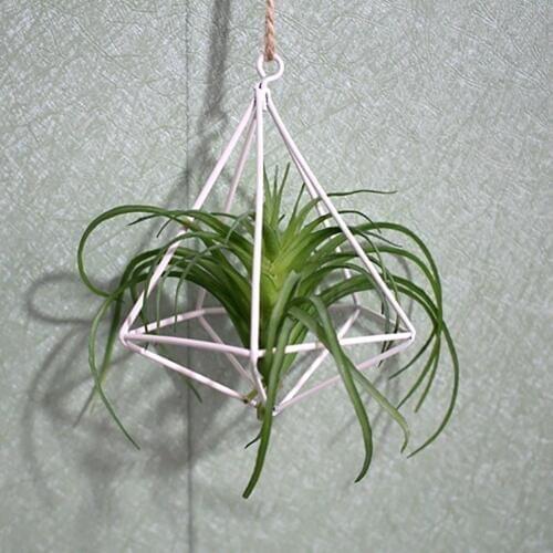 Freestanding Hanging Tillandsia Air Plants Rack Metal Geometric Iron Rustic Flower Planter Pot Plants Rack For Home Garden 2018