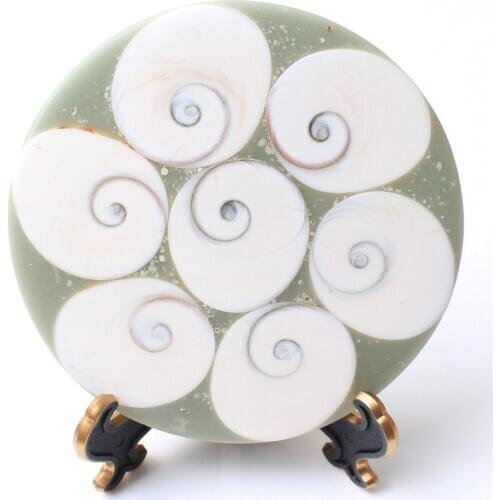 110-120mm Natural Sun Shell Plate Disk Base Stone Collections Home Decoration Healing Gift