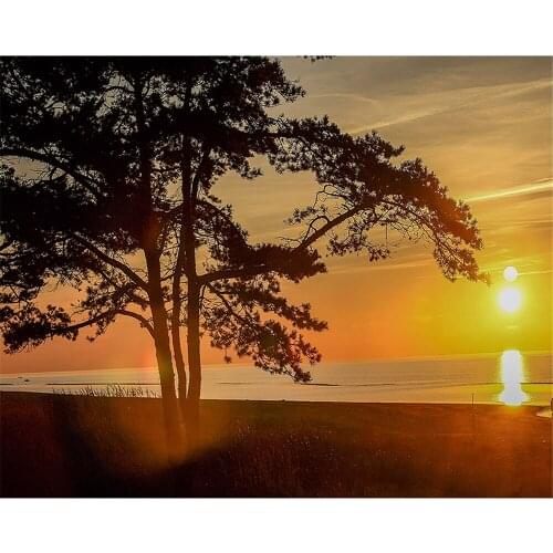 Scenery Landscape Printed Fabric 11CT Cross Stitch Patterns Embroidery DMC Threads Handmade Handiwork Sewing Knitting Decor