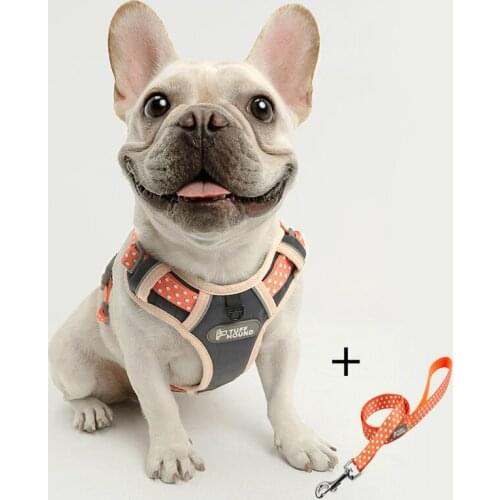 INBEPET Pet Dog Cat Harness Set No Pull French Bulldog Puppy Reflective Harness Nylon Vest Dog Leash Set Pitbull