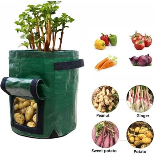 PE Planter Bag Potato Grown Bags Wall Vertical Garden Hanging Flower Vegetable Plants Pouch Pockets Garden Supplies