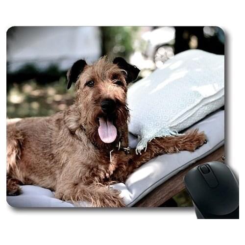 Lovely Pug Dog Gaming Mouse Pad,Irish Terrier Dog Terrier Animal Pet,dogs mouse mat